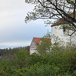 Blick auf die Burg Wildenstein