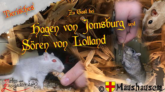 Vorschaubild des Videos mit den beiden Mäuserichen Hagen von Jomsburg und Sören von Lolland
