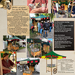 Bewerbung 2026 Mäuseroulette - Markus der Mäusegaukler Seite 2