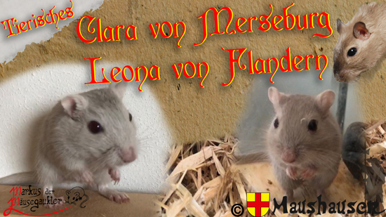 Vorschaubild zum Video mit Leona von Flandern und Clara von Merseburg