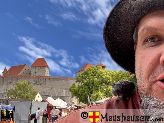 Bild mit dem Mäuseopa Ansgar von Haithabu auf meiner Schulter und der Harburg im Hintergrund