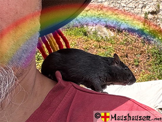 Ansgar von Haithabu mit Regenbogen